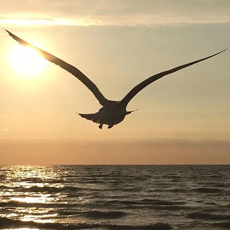 Apartament Toplaterne Dierhagen